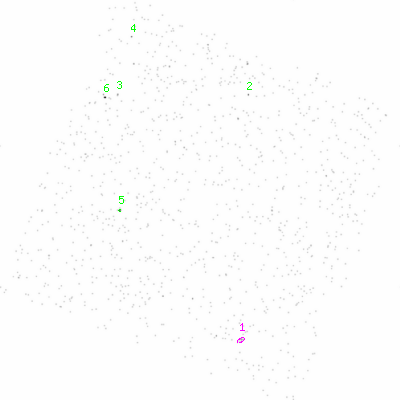 ccd3 smooth0 image