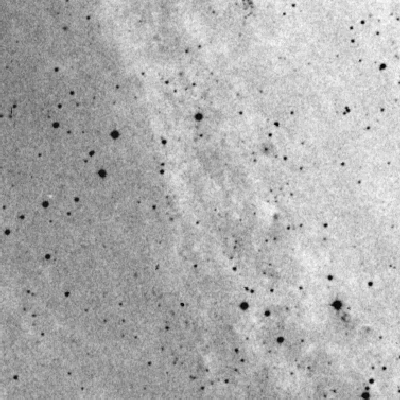 Skyview survey image