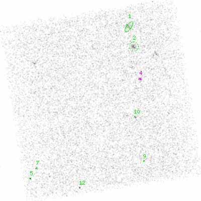 ccd6 smooth0 image