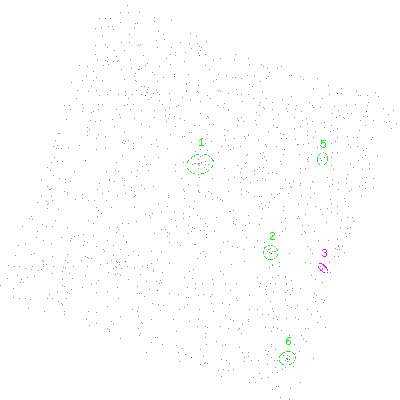 ccd3 fullimage image