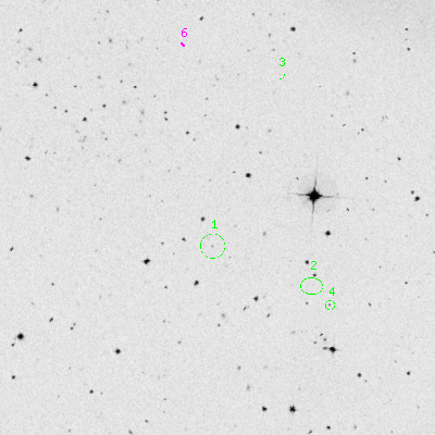 Skyview survey image
