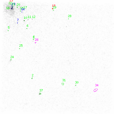 ccd3 smooth0 image