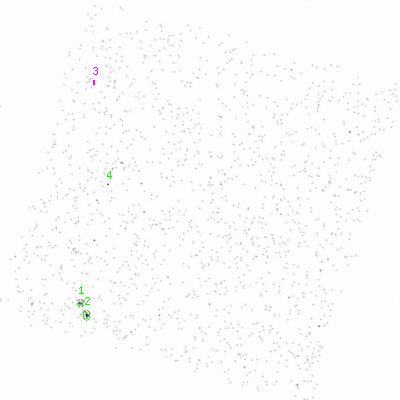 ccd3 smooth0cl image