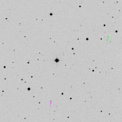 Skyview survey image