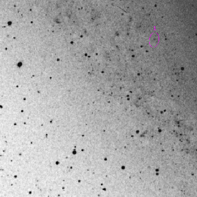 Skyview survey image