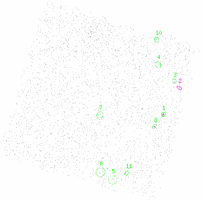 ccd3 fullimage image