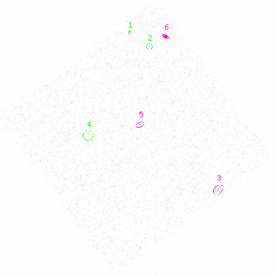 ccd3 smooth0 image