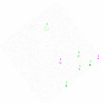 ccd3 smooth0 image