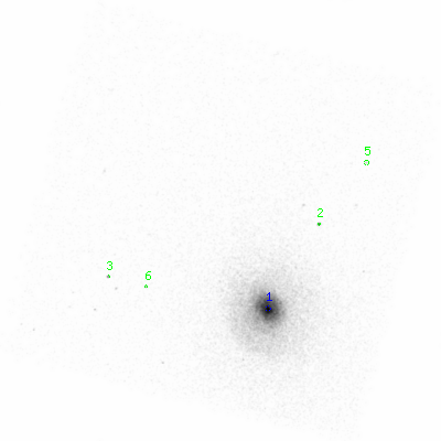 ccd3 smooth0 image