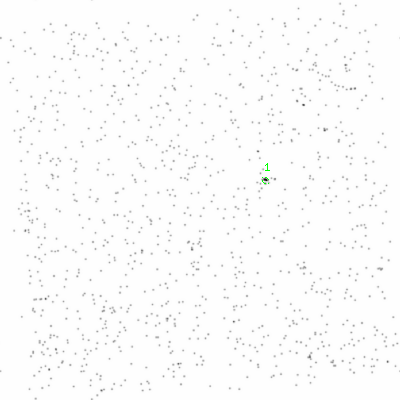 ccd2 smooth0cl image