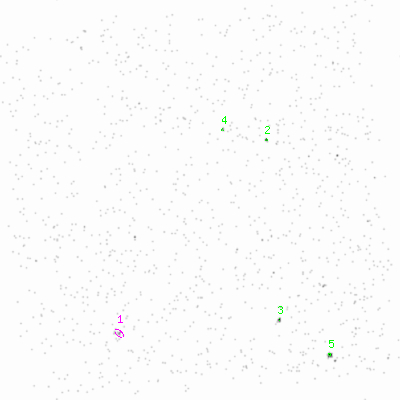 ccd6 smooth0cl image