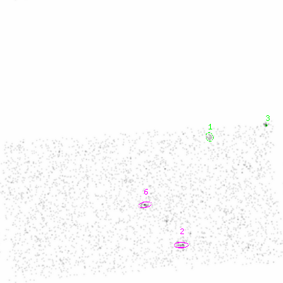 ccd3 smooth0 image