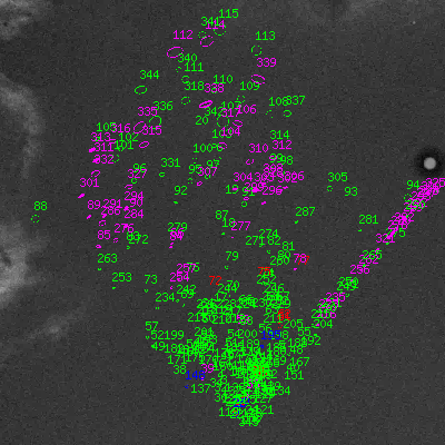 Skyview survey image