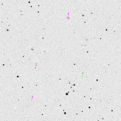 Skyview survey image