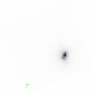 ccd3 smooth0 image