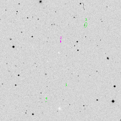 Skyview survey image