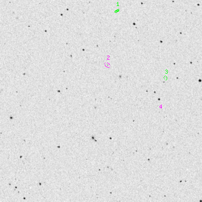 Skyview survey image