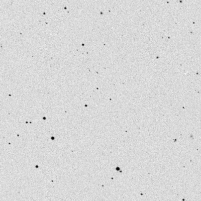 Skyview survey image