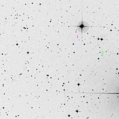 Skyview survey image