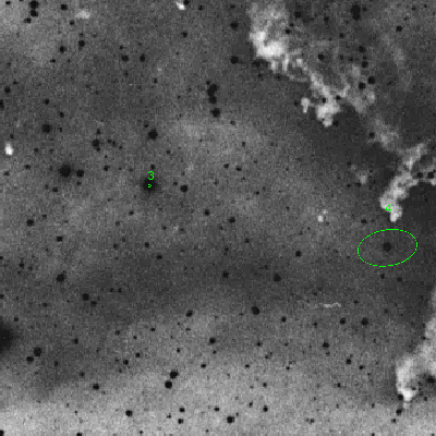 Skyview survey image