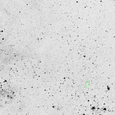 Skyview survey image