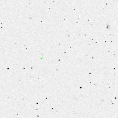 Skyview survey image