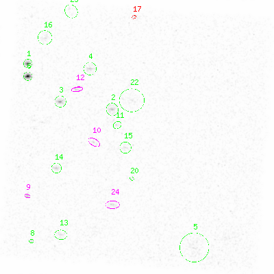 ccd3 smooth0cl image