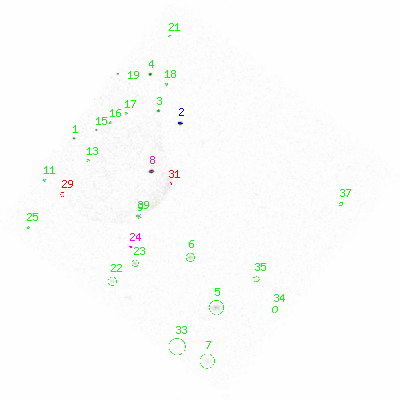 ccd6 smooth0 image