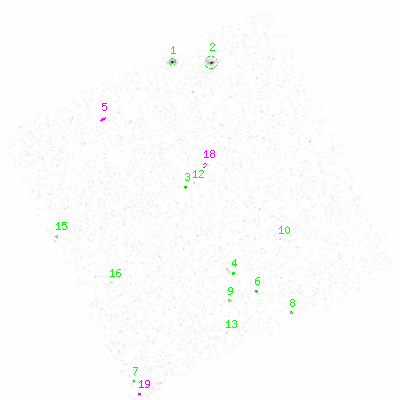 ccd3 smooth0 image