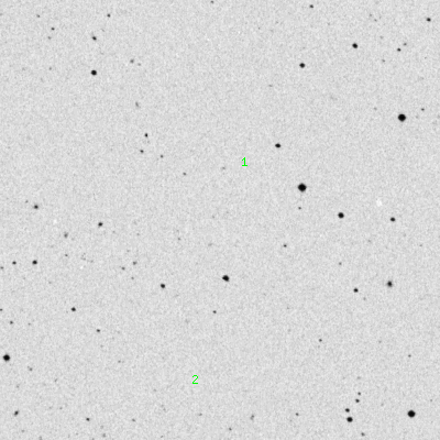 Skyview survey image