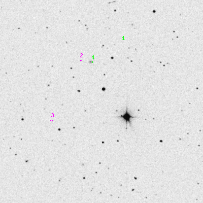 Skyview survey image