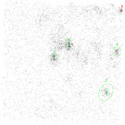 ccd6 smooth0 image