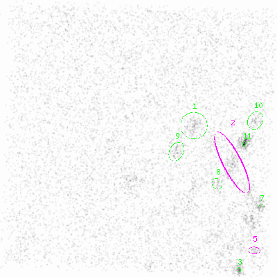 ccd7 smooth0 image