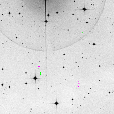 Skyview survey image