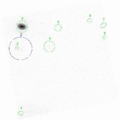 ccd7 smooth0cl image