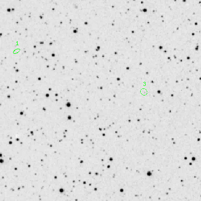 Skyview survey image