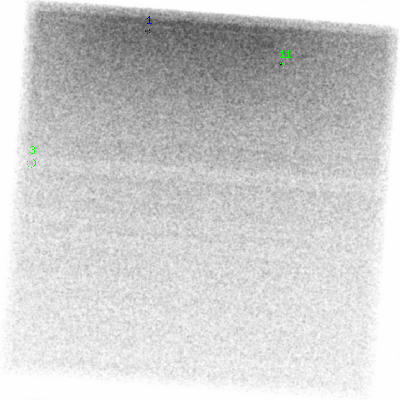 ccd6 smooth0 image