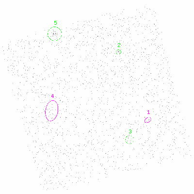 ccd3 fullimage image