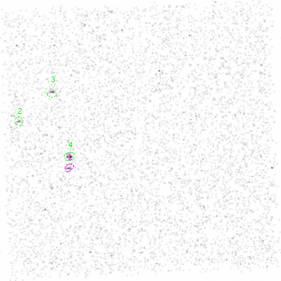 ccd3 smooth0cl image