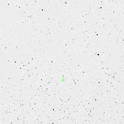 Skyview survey image