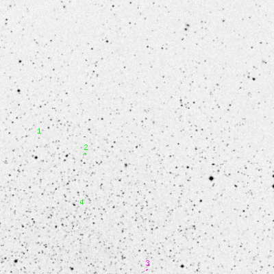 Skyview survey image