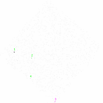 ccd6 smooth0 image