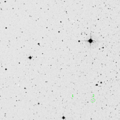 Skyview survey image