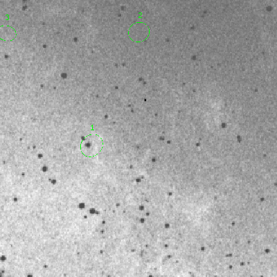 Skyview survey image