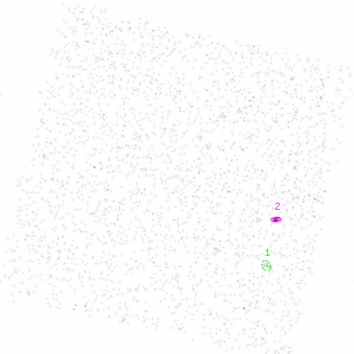 ccd3 smooth0 image