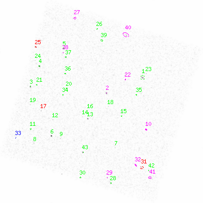 ccd3 smooth0 image