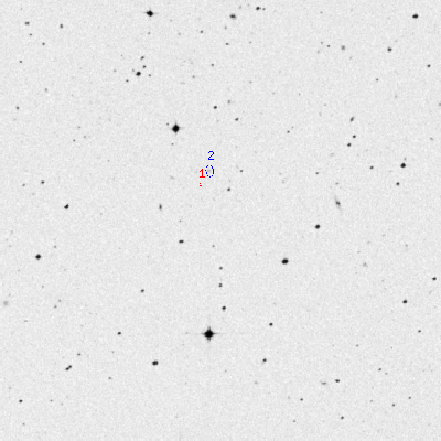 Skyview survey image