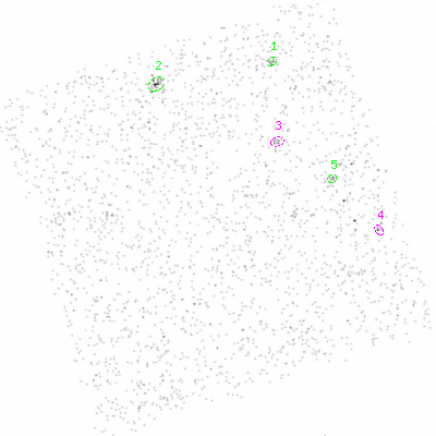 ccd3 smooth0cl image