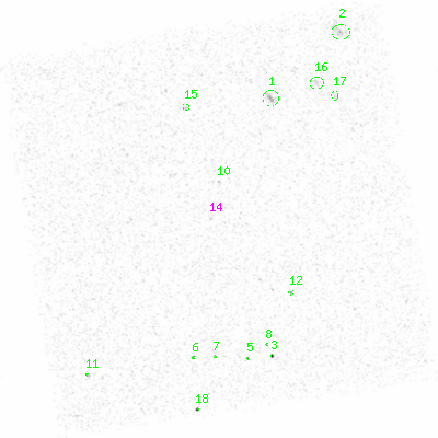 ccd6 smooth0 image