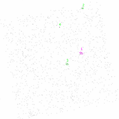 ccd3 smooth0 image